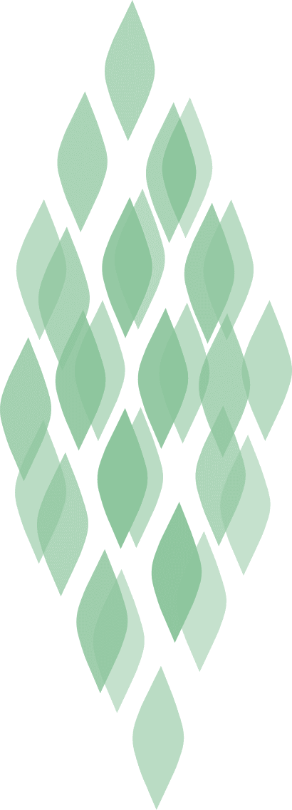 Creative logo illustrating 2C-B by the Drugs and Me team