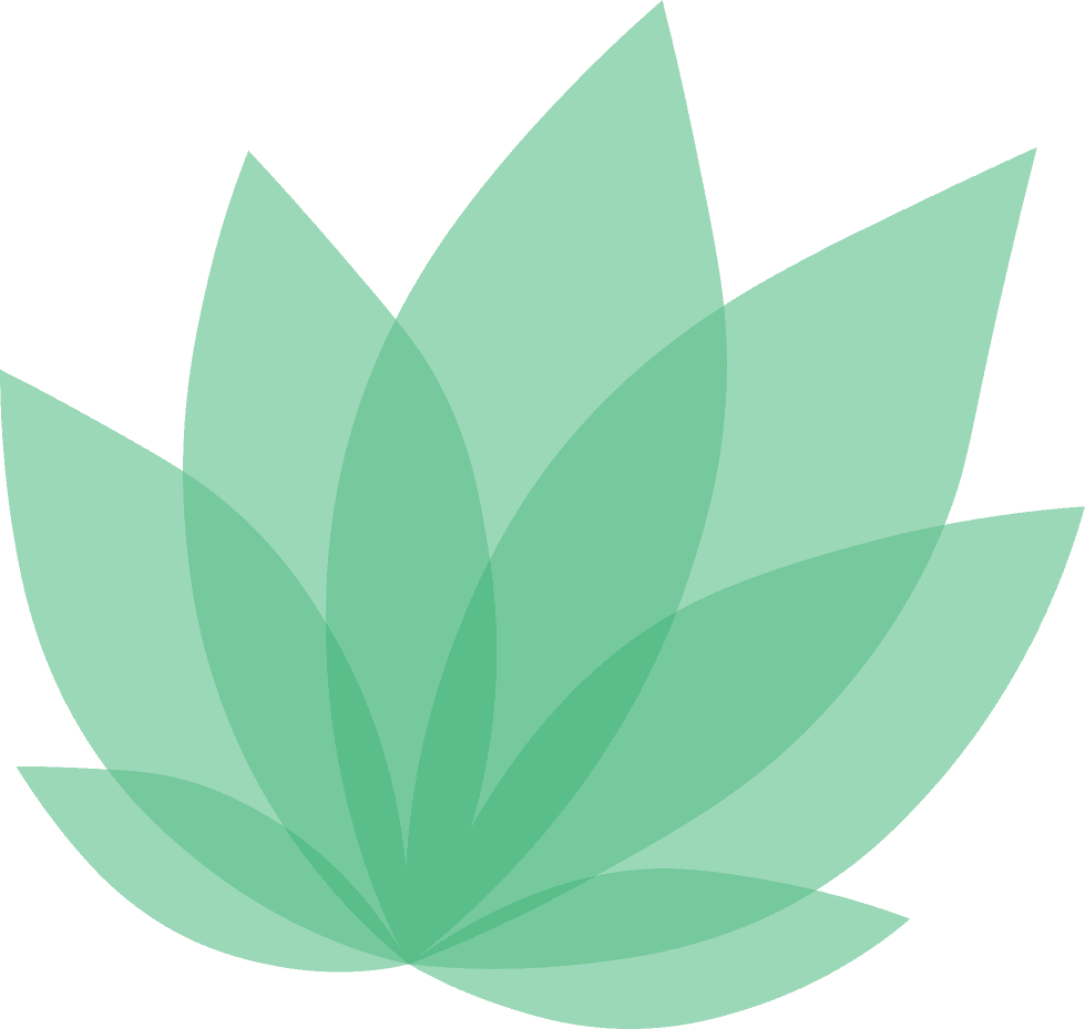 Creative logo illustrating Cannabis by the Drugs and Me team